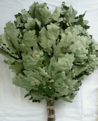 детальное фото веник дубовый в упаковке. бацькина баня в интернет-магазине Дачный Эксперт